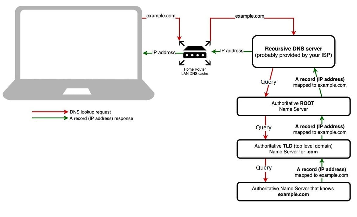 DNS Lookup